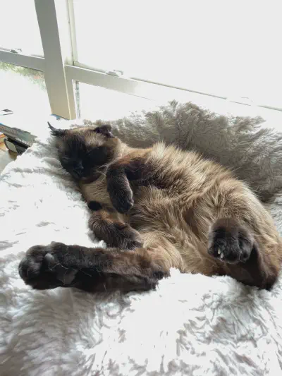 Don't wait for FHE, encryption-in-use is possible today*!